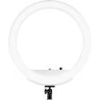 Westcott Bi-Color LED Ring Light Kit (18 ) Online Sale